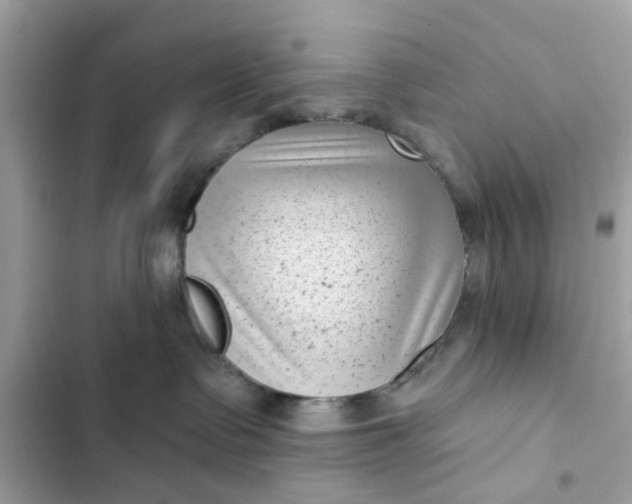 X0000102350335200808151756