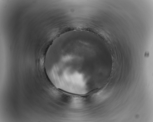 X0000102350336200808151756