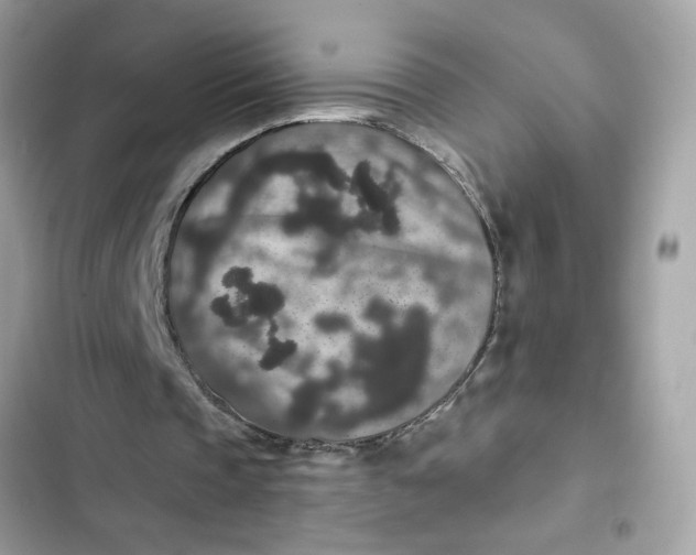 X0000102350337200808151755