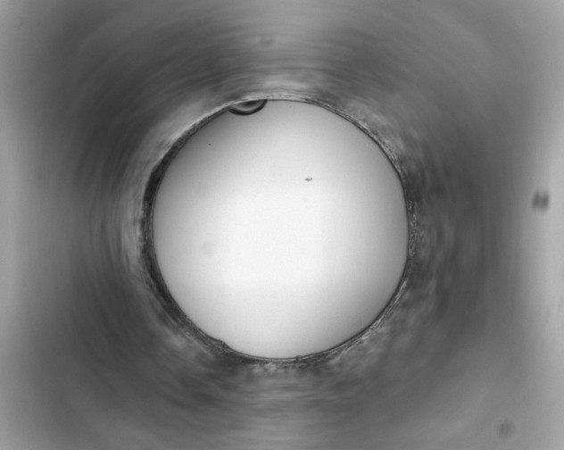 X0000102350338200808151755