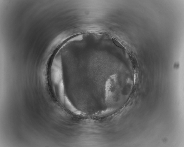 X0000102350339200808151755