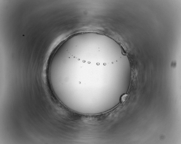 X0000102350340200808151755