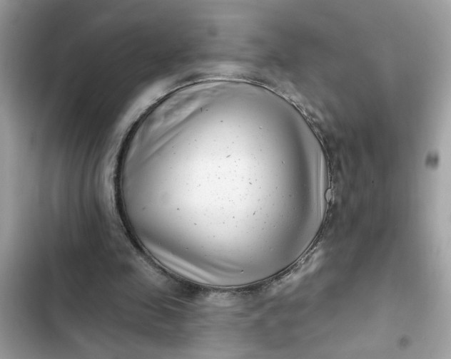 X0000102350341200808151755