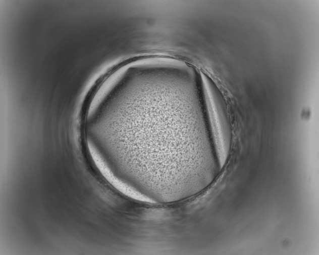 X0000102350342200808151755