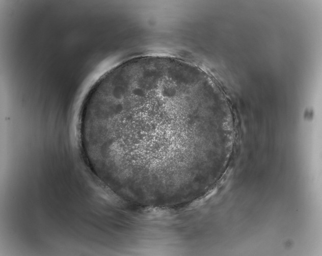 X0000102350343200808151755