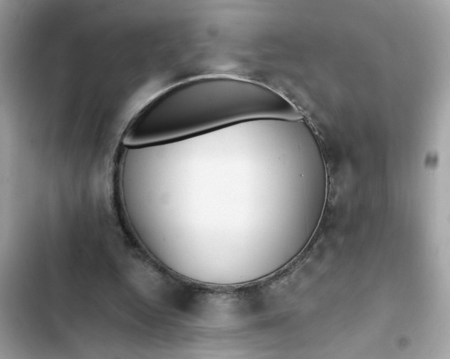 X0000102350344200808151755