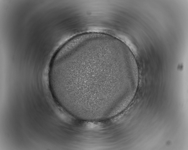 X0000102350346200808151755