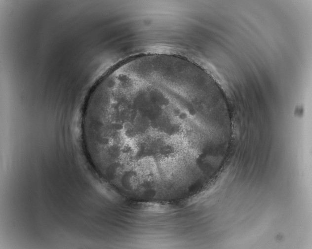 X0000102350347200808151755