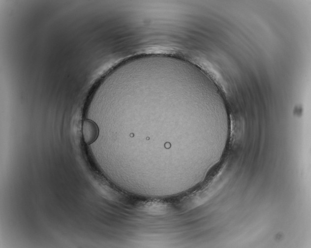 X0000102350348200808151755