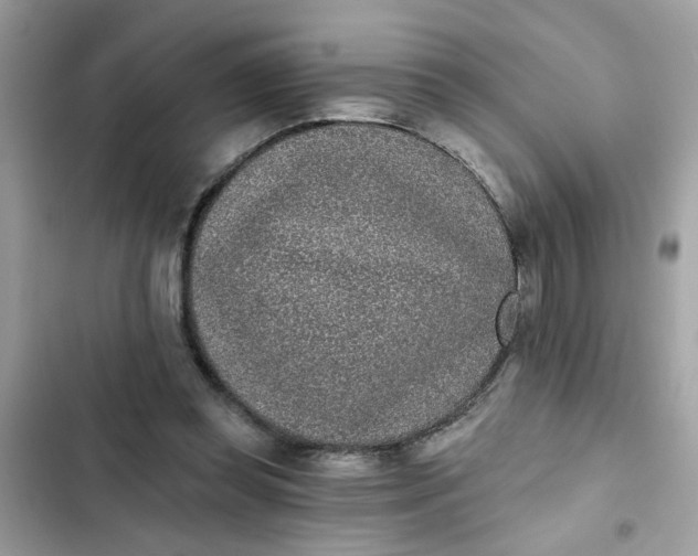 X0000102350349200808151755