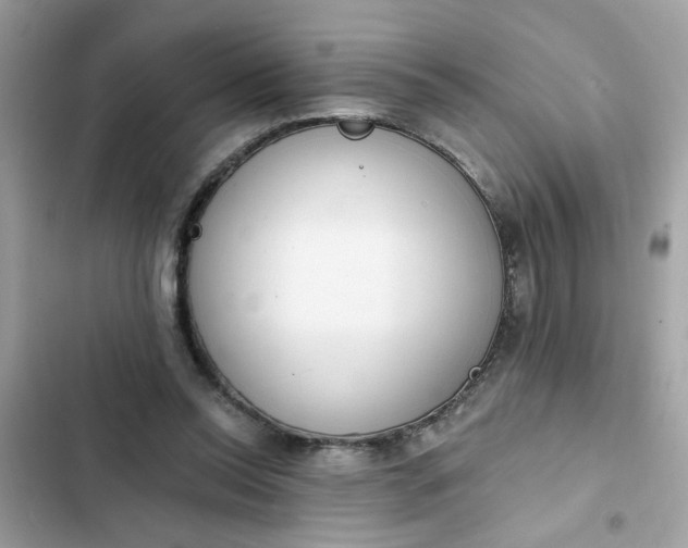 X0000102350350200808151755