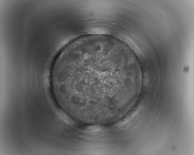 X0000102350351200808151755