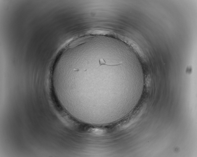 X0000102350352200808151755