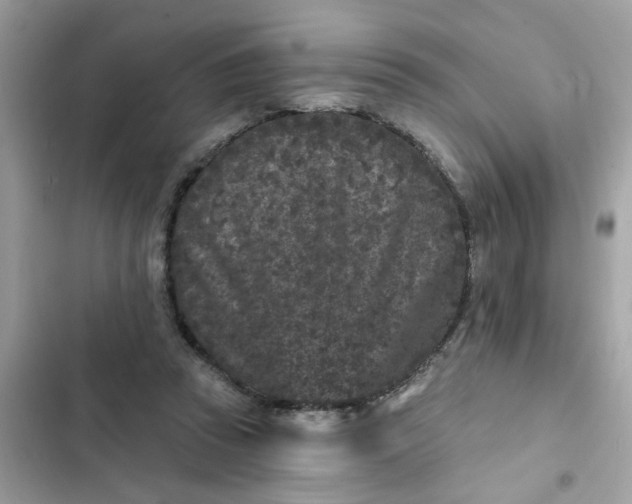 X0000102350353200808151755