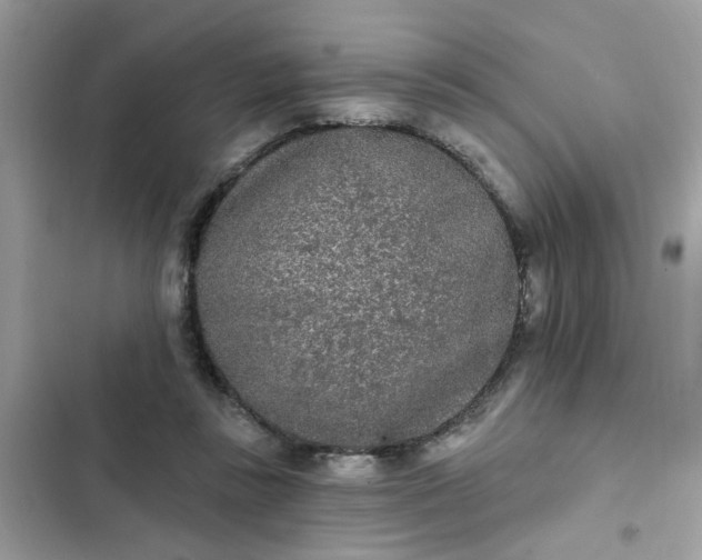 X0000102350355200808151755