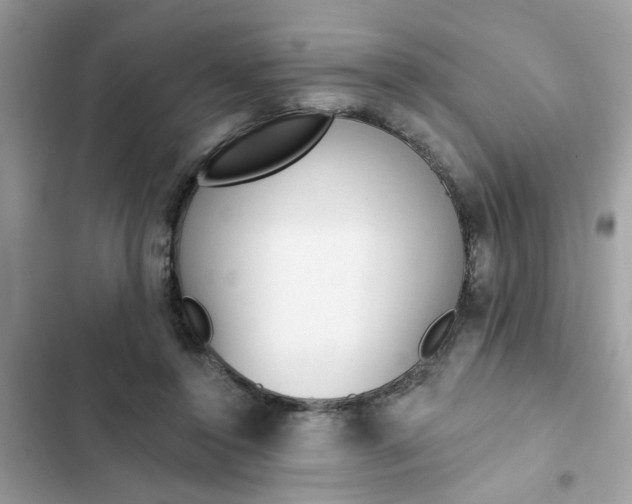 X0000102350356200808151756