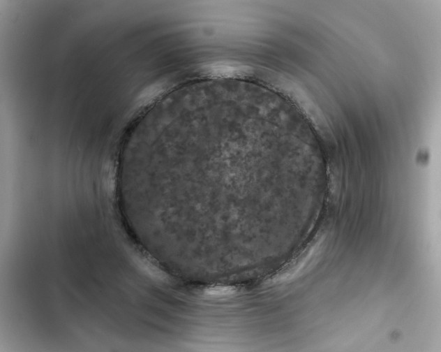 X0000102350357200808151756