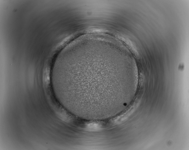 X0000102350358200808151756