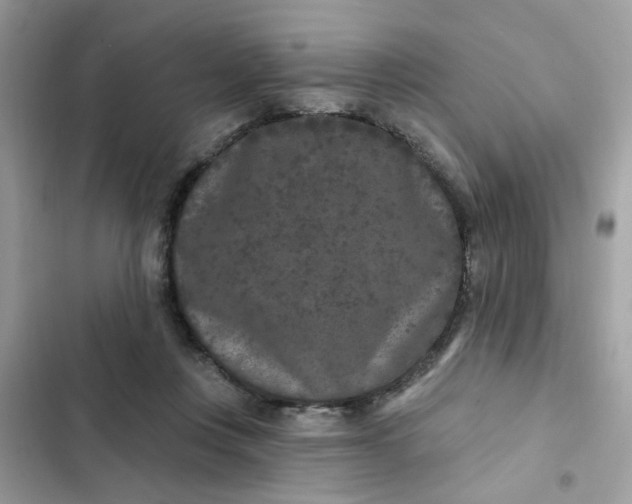 X0000102350359200808151756