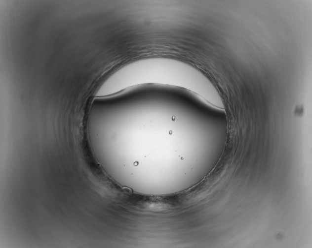 X0000102350360200808151756