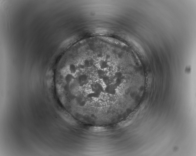 X0000102350361200808151756