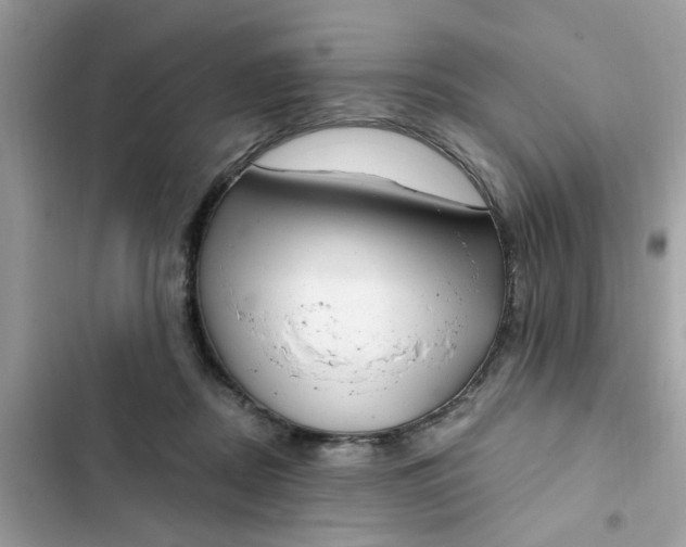 X0000102350362200808151756