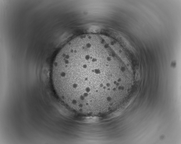 X0000102350363200808151756