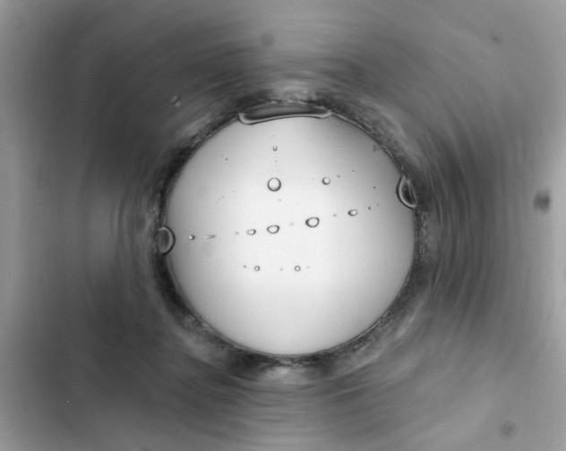 X0000102350364200808151756