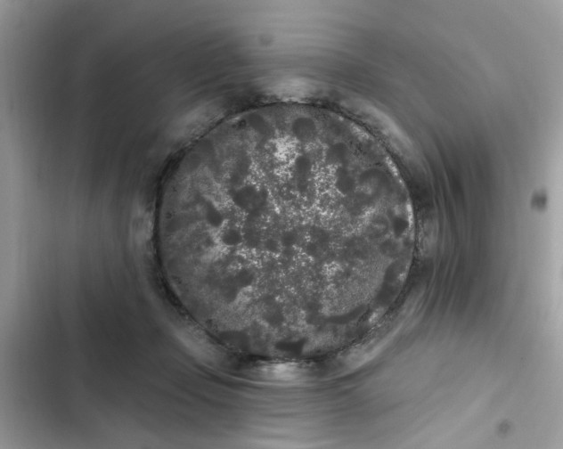 X0000102350365200808151756