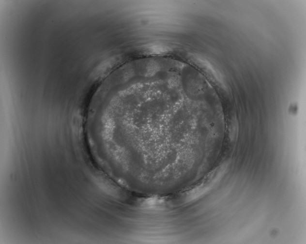 X0000102350366200808151756