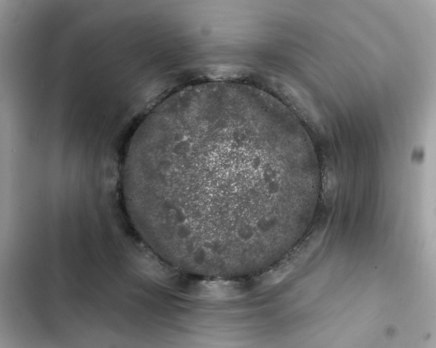 X0000102350367200808151756