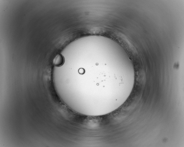 X0000102350368200808151756