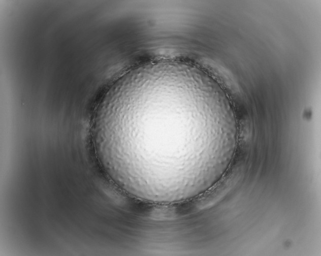 X0000102350369200808151756