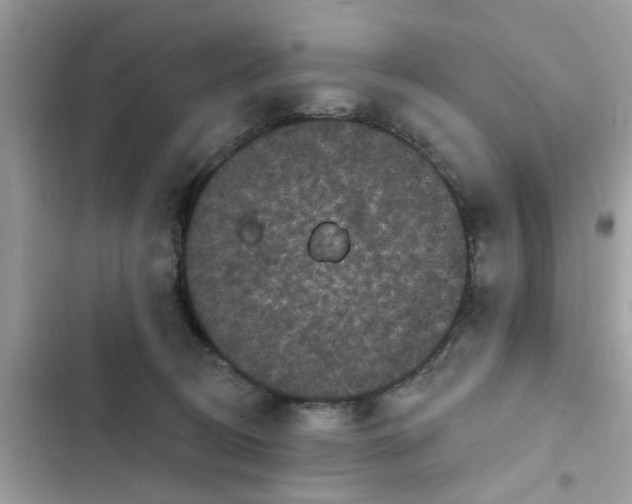 X0000102350370200808151756