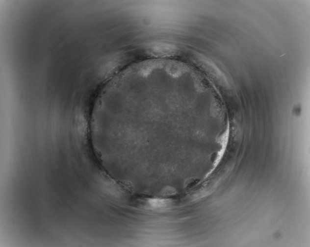 X0000102350371200808151756