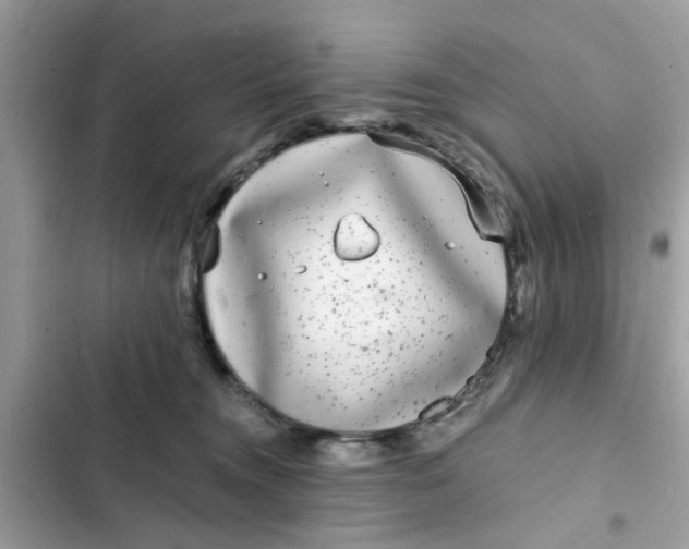 X0000102350372200808151756