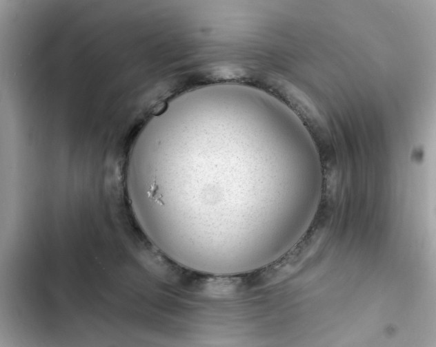 X0000102350373200808151756