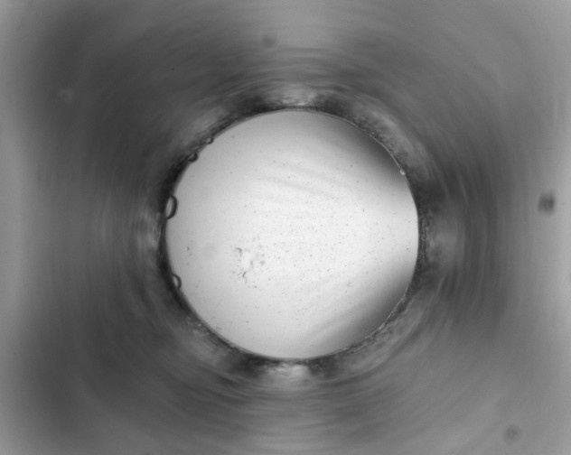 X0000102350374200808151756