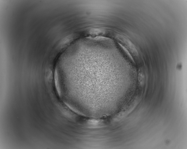 X0000102350375200808151756