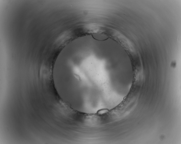 X0000102350376200808151756