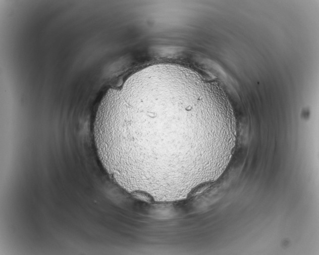 X0000102350377200808151756