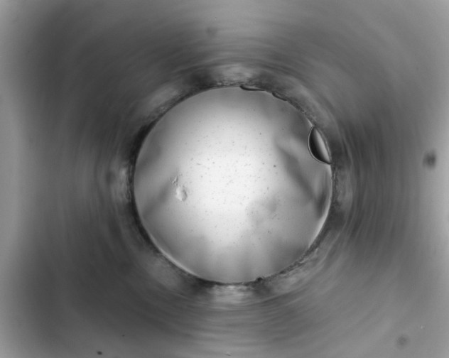 X0000102350378200808151756