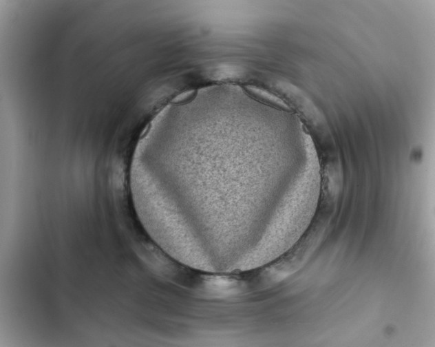 X0000102350380200808151756