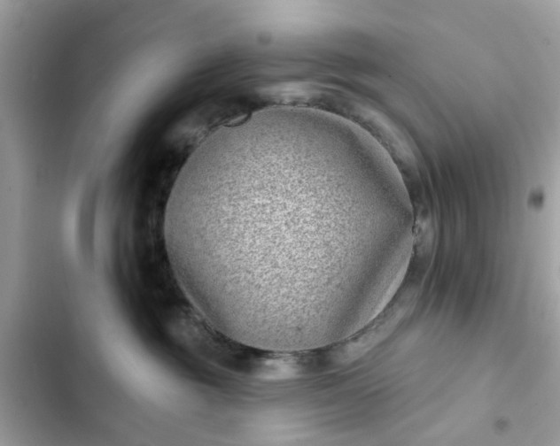 X0000102350381200808151756