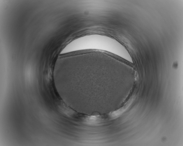 X0000102350382200808151756