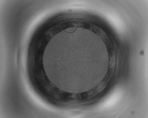 X0000102350383200808151756