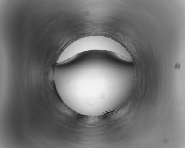 X0000102350384200808151756