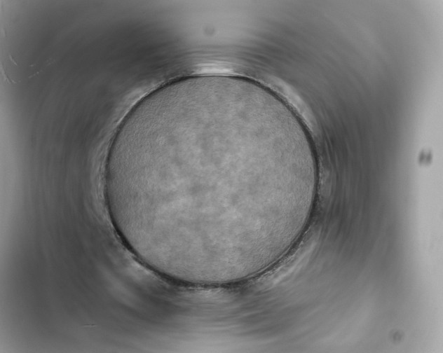 X0000102350385200808151755