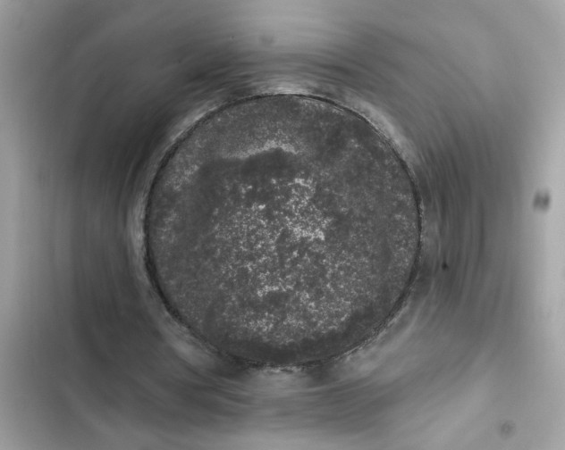 X0000102350386200808151755