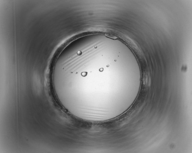 X0000102350388200808151755